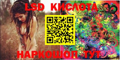 СК Кингисепп