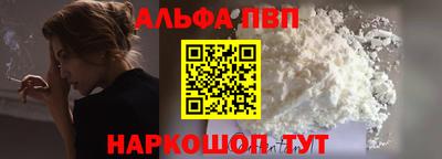 СК Кингисепп