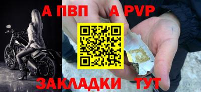 СК Кингисепп