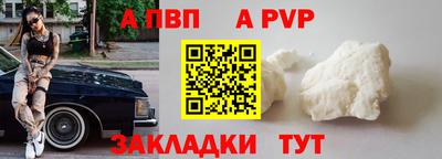 СК Кингисепп