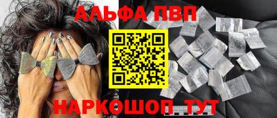 СК Кингисепп