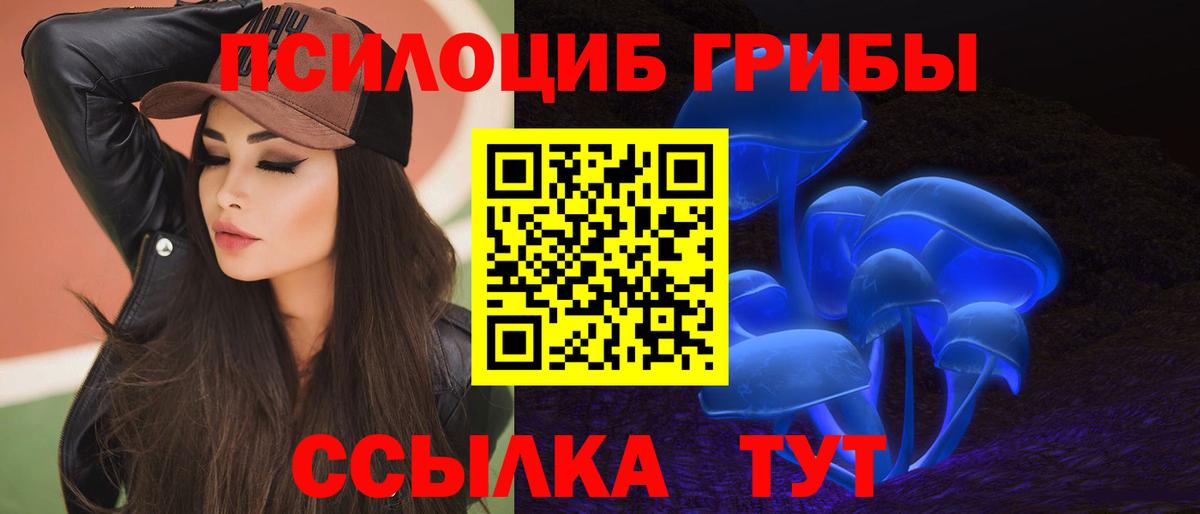 Псилоцибиновые грибы GOLDEN TEACHER  Вход с VPN  Кудымкар 